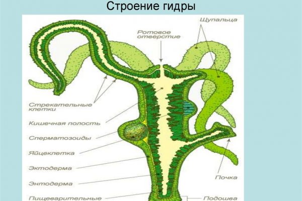 Кракен маркетплейс зеркало